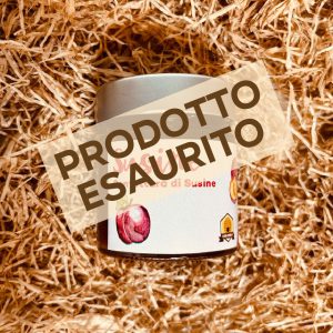 Confettura di Susine